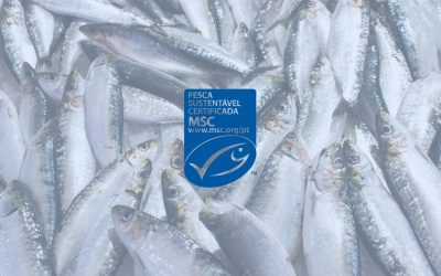 Sardinha ibérica da costa atlântica volta a receber a certificação azul do MSC